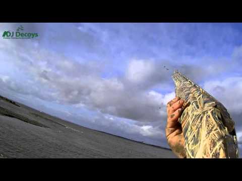 download lagu mp3 mp4 Djdecoys, download lagu Djdecoys gratis, unduh video klip Djdecoys