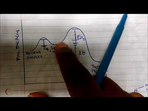 Kinetic Vs Thermodynamic Product (How to Identify Them)