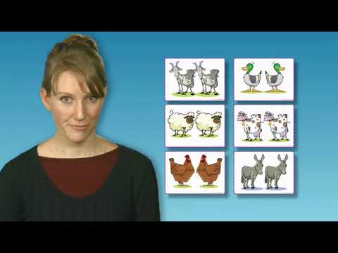 Oxford Bright Ideas 1 - Review Video 4 Part 2