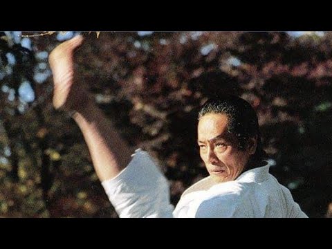 Asai Tetsuhiko. Keri waza