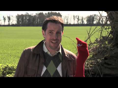 DAVID AND RED IN ENGLAND - episode 7