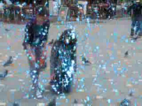 Clasa a-VIII-a Gen.7 Timisoara