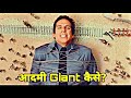 Night At The Museum Movie Explained In Hindi Museum 1