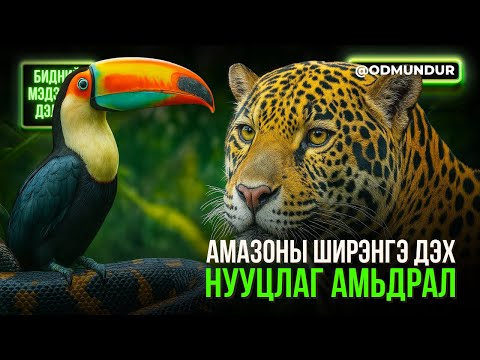 Амазоны ширэнгэ дэх нууцлаг амьдрал - БИДНИЙ МЭДЭХГҮЙ ДЭЛХИЙ