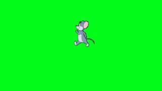 Efeitos Chroma Key - RATINHO ANDANDO (MOUSE) Fundo Verde