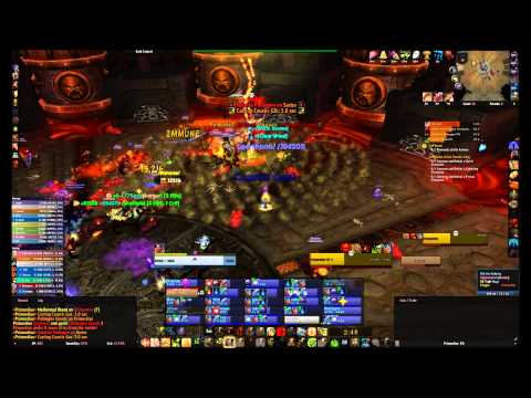 Systematic [H] vs Primordius 25 Man Normal Holy Paladin POV Throne of Thunder
