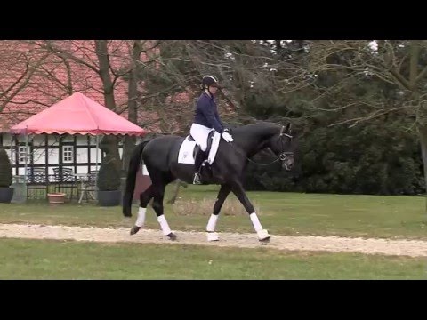 Sir Sansibar deutsch 2016