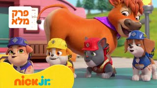 ראבל והבנאים: הגורים בונים שלט לסיירה ספארקל | עונה 2 פרק 2 המלא | ניק ג'וניור