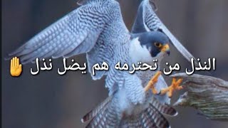 النذل من تحترمه هم يضل نذل شعر عراقي حزين حالات واتساب 2022 اجمل اشعار عراقيه قصيره حزينه 2022