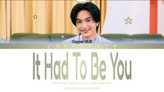Download lagu Copper of BUS - It Had To Be You Ost. Duang With You Series LYRIC THAI/ROM/INDO/ENG mp3