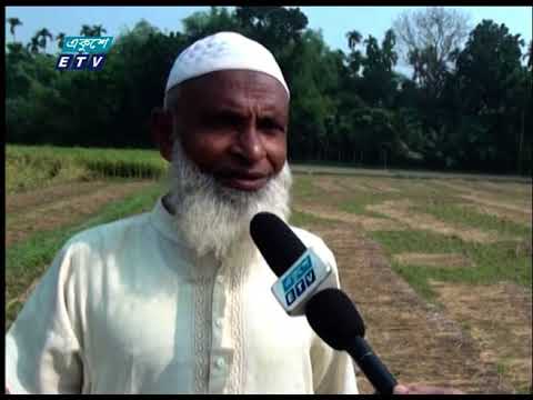 ময়মনসিংহে চার ফসলী জমি