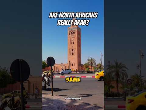 Algerian Arabic video
