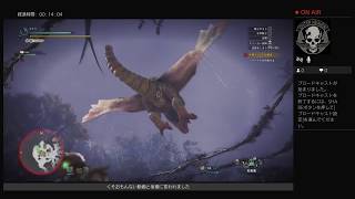【モンハンやるんや】コテツが逝く　#3  ☆3クエスト