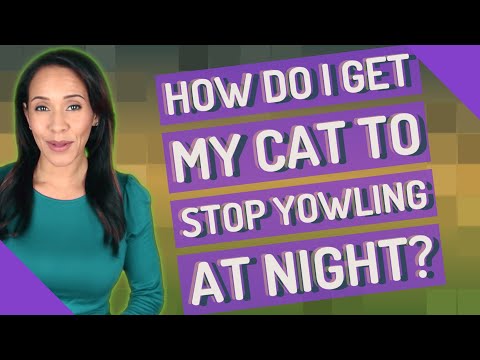 How do I get my cat to stop yowling at night?