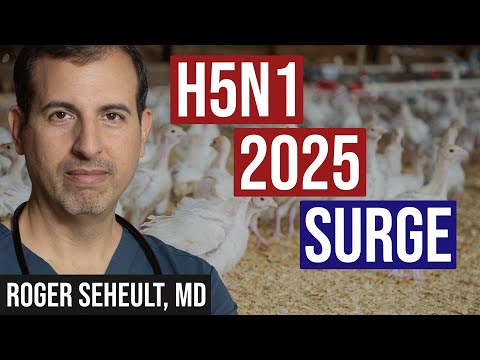 H5N1 2025 Surge