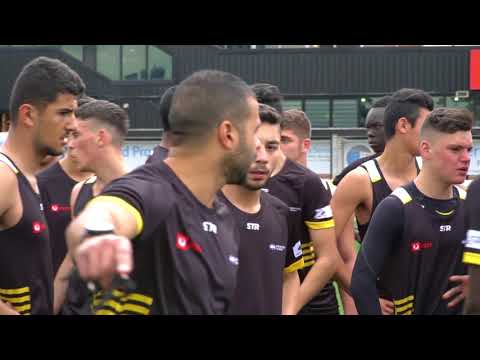 Bachar Houli Academy 2017