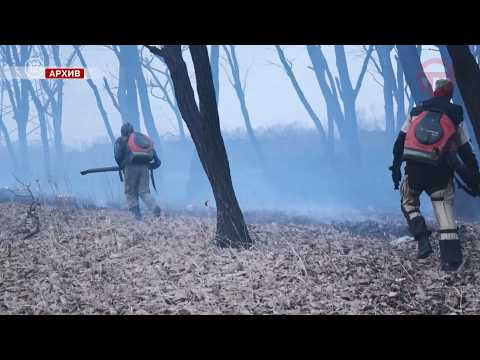 🔥 Пожароопасный период установят в Уссурийске с 1 марта