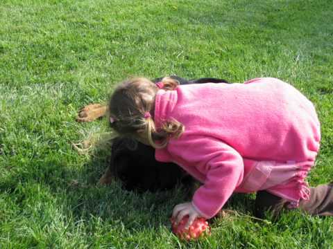 ARIANA PASIN and BEST FRIENDS -YCUL KENNEL