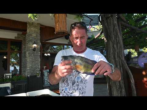 🐟 Познавате ли рибите на Черно море? Лабрида