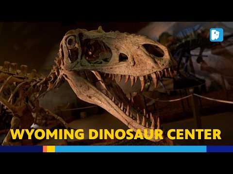 Explore Wyoming’s Paleontological Riches at the Wyoming Dinosaur Center
