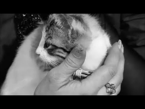 [free] fats'e, guardin, midwest emo type beat - sleeppattern (prod. irby x noahmadethiss)