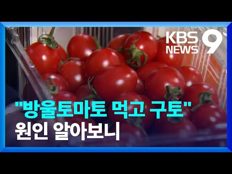 “방울토마토 먹고 구토, 쓴맛 나면 먹지 마세요” [9시 뉴스] / KBS  2023.03.30.