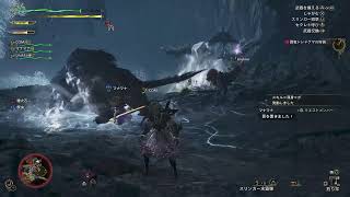 ママのいまさらにモンスターハンターワイルズ