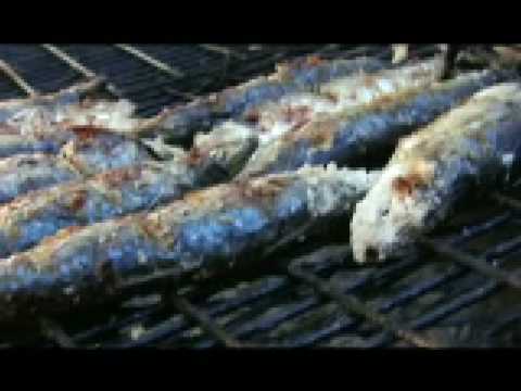 download lagu mp3 mp4 Sardines Portuguese Style, download lagu Sardines Portuguese Style gratis, unduh video klip Sardines Portuguese Style