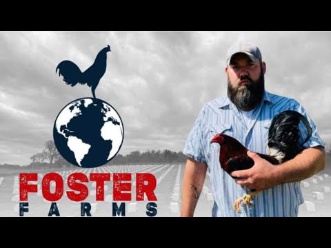 FOSTER FARM - Oklahoma - Home of the Original Foster Kelso