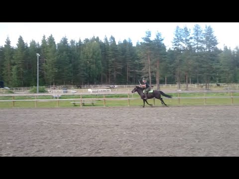 Incredible Horseback Archery