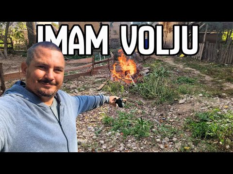 DOSTA LJENČARENJA | Spremanje farme za nove svinje