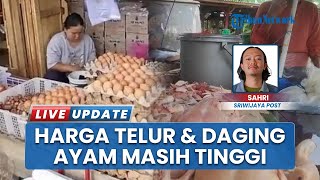 Naik Sejak Desamber 2025, Harga Telur dan Ayam di Empat Lawang Sumsel Masih Tinggi di Januari 2026