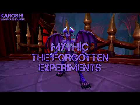 Karoshi vs. Mythic The Forgotten Experiments - Protection Paladin POV