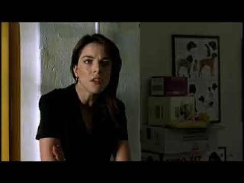 Cockerino del Vinciguerra