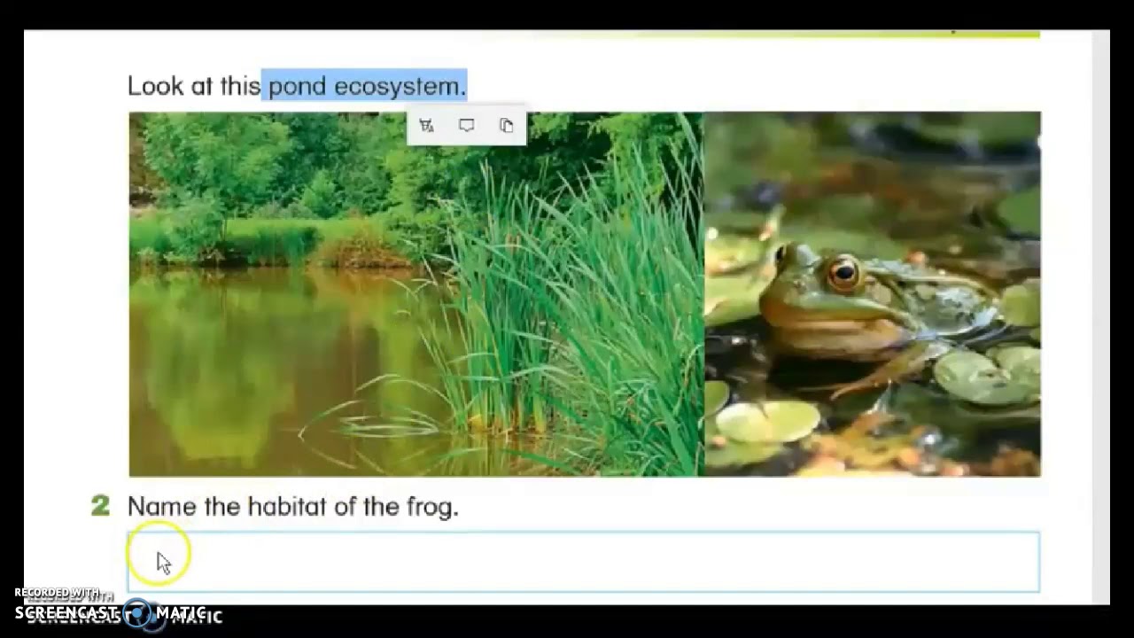 Unit 3 Ecosystem lesson 1