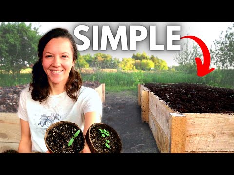 RAISED BEDS that are Long Lasting, Chemical-Free, and Cheap!