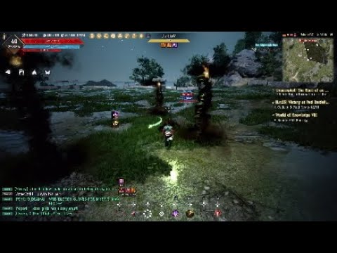 Black Desert Online Hashashin pvp trainin