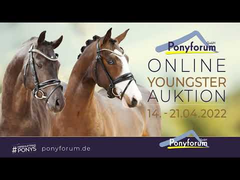 HEILIGENBERGS DON'T STOP ME NOW Stute 2019 v. Dimension AT NRW / Top Nonstop I