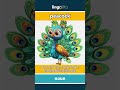 peacock - a bird with bright, colorfu... video thumbnail