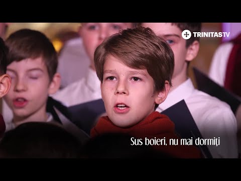 Tronos Junior - Sus boieri, nu mai dormiți