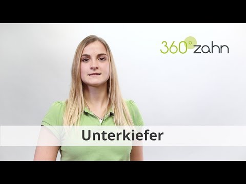 Unterkiefer - Was ist der Unterkiefer? | Dental-Lexikon | 360°zahn
