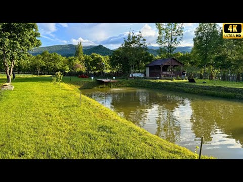 IAZUL de ACASĂ prinde CONTUR. PROBLEME cu CRAPII.