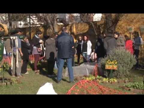 CURSO DE HUERTA ORGÁNICA EN SAN ISIDRO