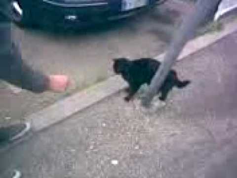 cheapmonday15- guardate che spavento...