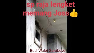 Download lagu rbw on 1 Minggu pakai sp raja lengket mm joss mp3