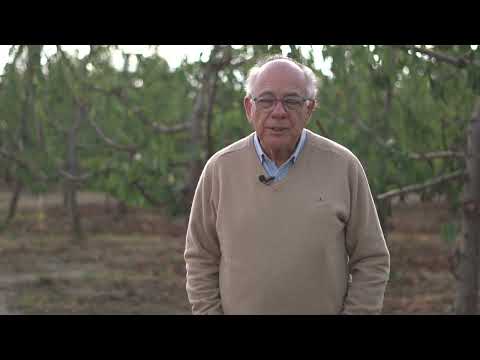 Óscar Aliaga: Dormancia en huertos de cerezos