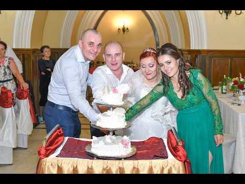 20 TORTUL mirilor  -   Nunta  Live !