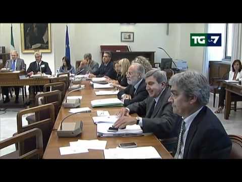 Tg La7 - Edizione delle ore 20.00 del 13/09/2011