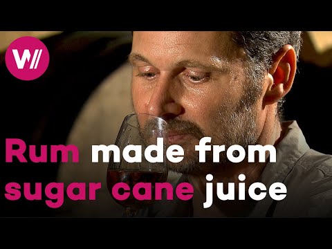 Caribbean rum from Guadeloupe - The delicacy made from fresh sugar cane juice