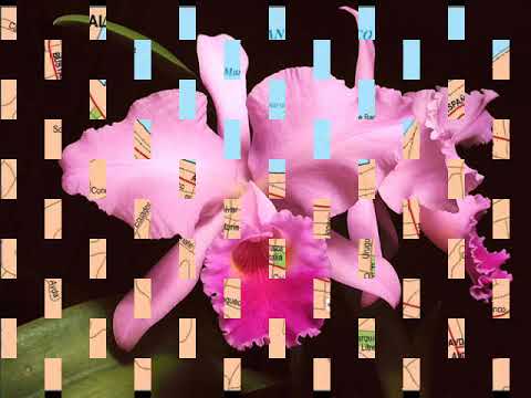 The Alan Parsons Project. Time.